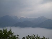 img (24)